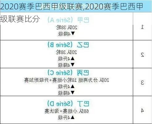 巴西甲2020积分榜 最新排名和球队得分-第3张图片-www.211178.com_果博福布斯