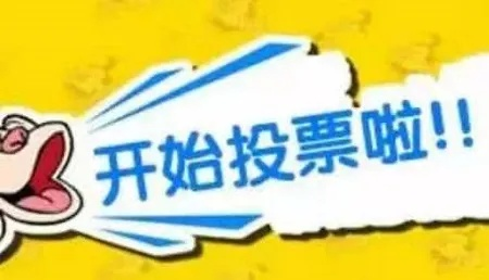 网上人工投票10元1000票，是真的吗？-第3张图片-www.211178.com_果博福布斯