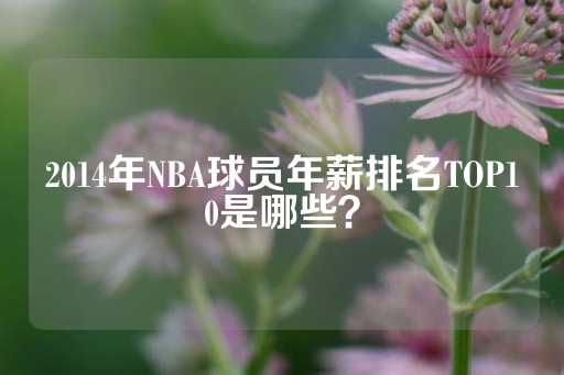 2014年NBA球员年薪排名TOP10是哪些？