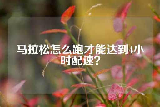 马拉松怎么跑才能达到4小时配速？