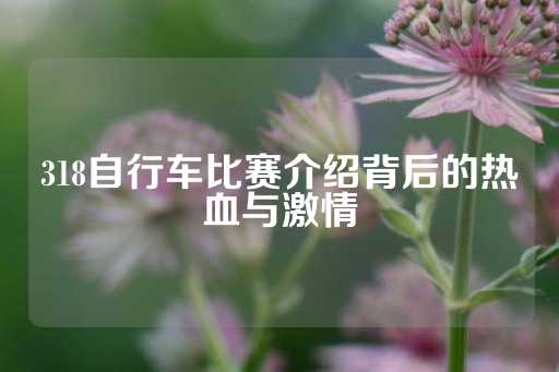 318自行车比赛介绍背后的热血与激情