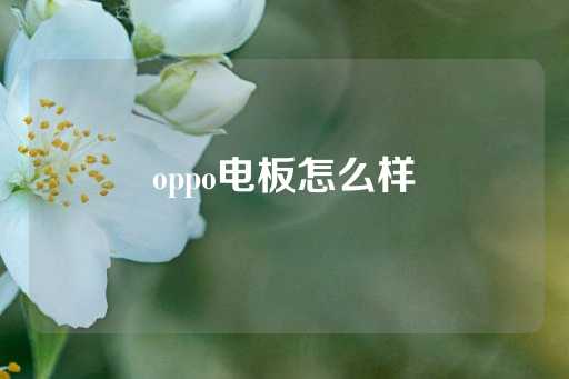 oppo电板怎么样-第1张图片-皇冠信用盘出租