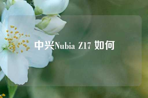 中兴Nubia Z17 如何