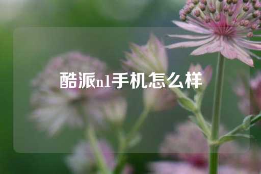 酷派n1手机怎么样-第1张图片-皇冠信用盘出租